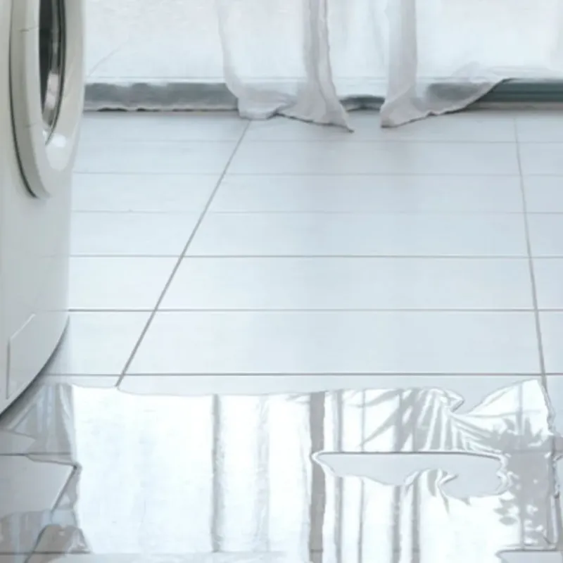 Appliance Leak Cleanup in Athens, IL