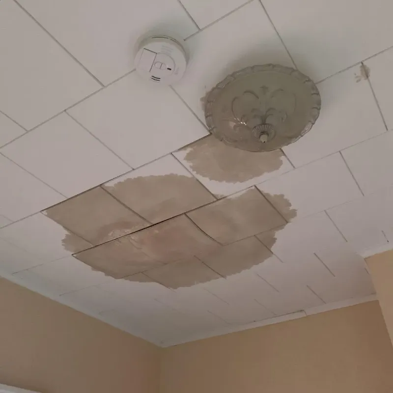 Ceiling Water Damage Repair in Athens, IL