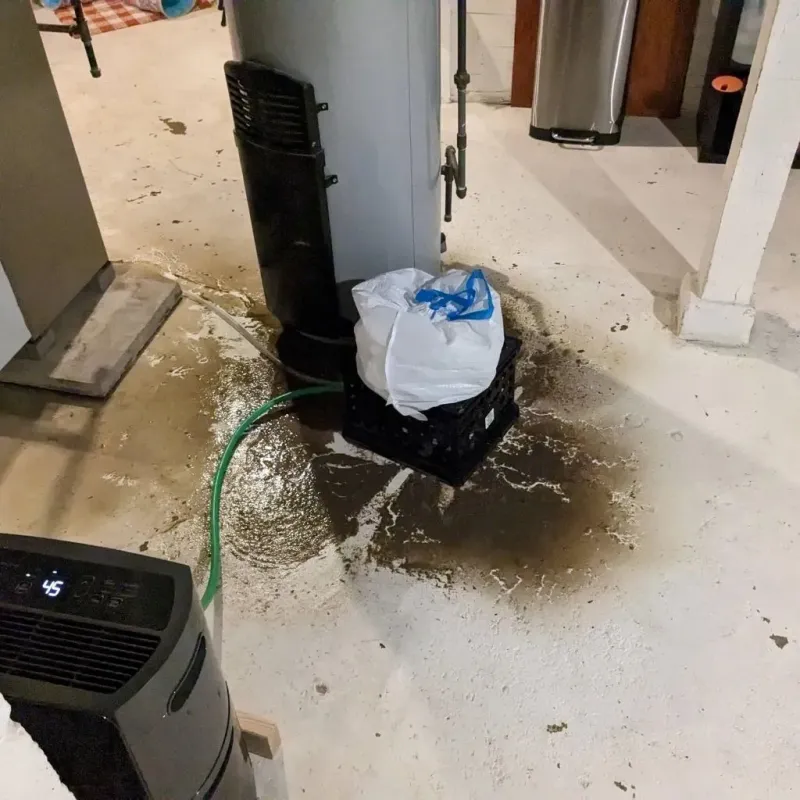 Sewage Backup Cleanup Service in Athens, IL